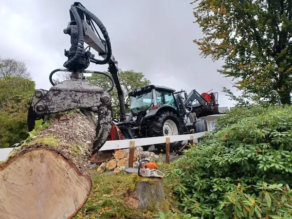 Trefelling med kran i Bergen, Norge - Tredoktoren
